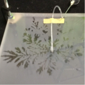 数理工学科